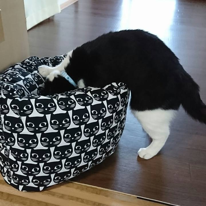 0cd400df 95c4 497d 90c4 7d6e8f0c5ce6