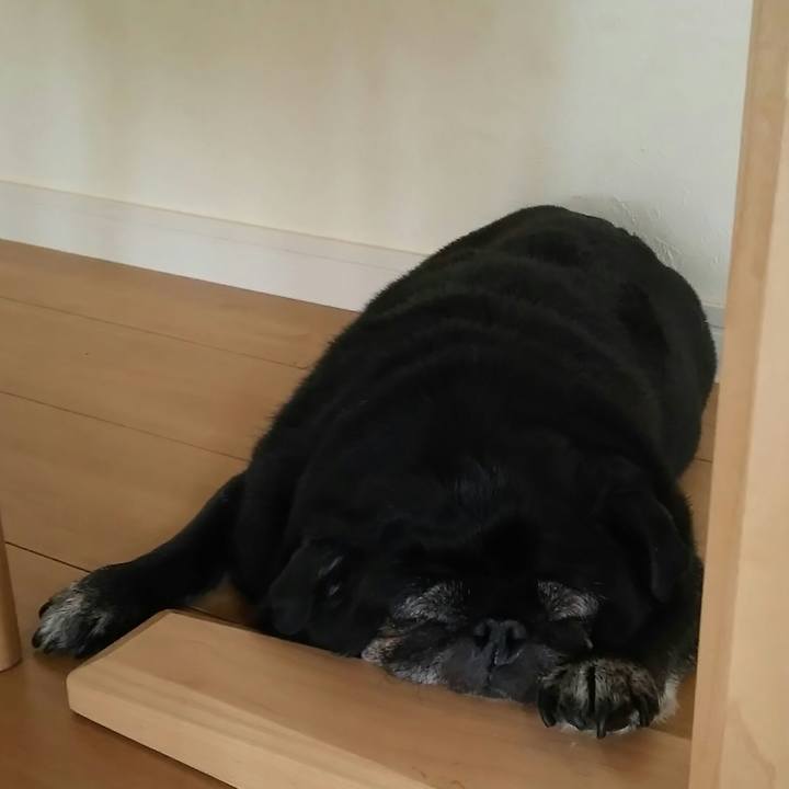 0cd44250 0196 4ae0 a417 e8bbf7797354