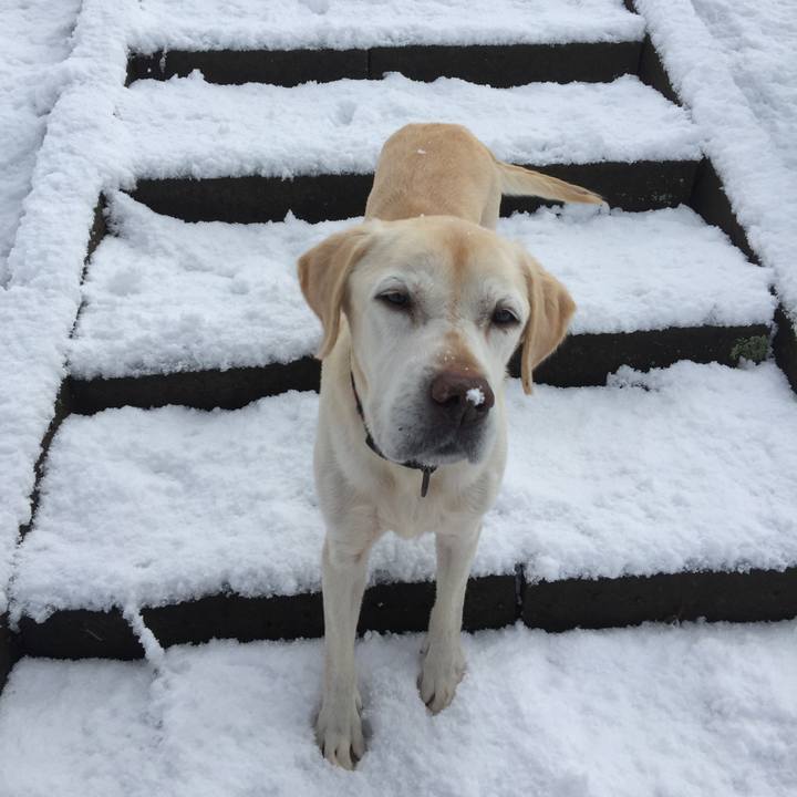 0cd4ce23 41b3 47ab 8cce 52d0f7abe225