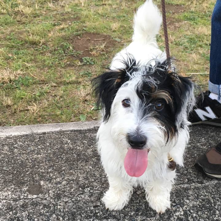 0cd5510c abd4 46ae a706 56cc95d7ba82