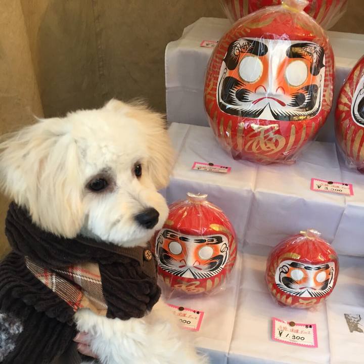 0cd5588c 4068 419f a5a3 58a5c6f56b5f