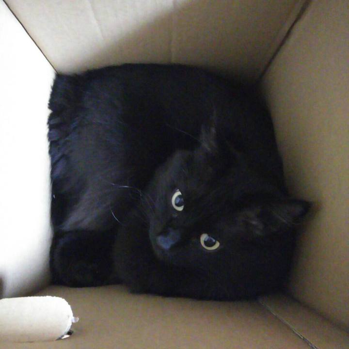 0cd55b68 671d 4899 8421 4ed9d892e42c