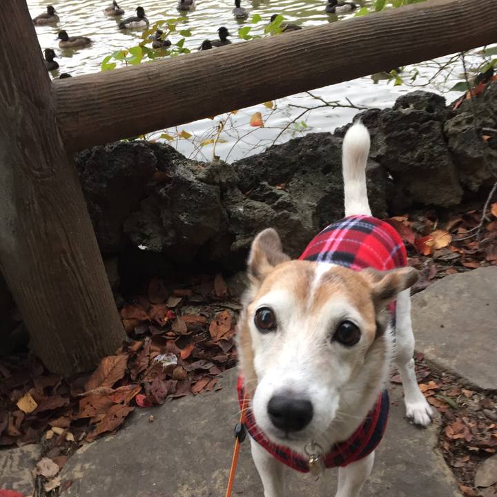 0cd5caf5 8731 4406 b738 7d8119e6e7ab