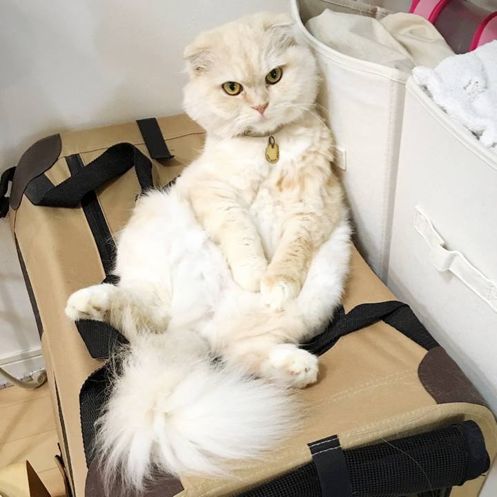 0cd60b15 45b5 42d6 b704 03b8eac39715