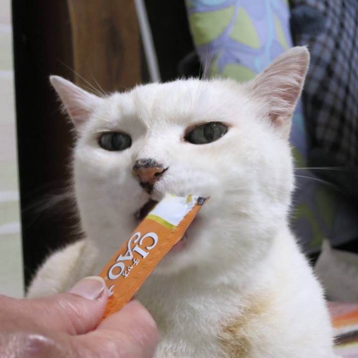 0cd641f0 5daa 4261 ae3e c818dcd03bae