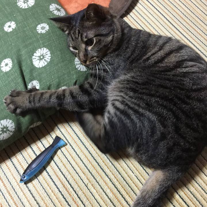 0cd705d3 fd2a 411c b79e 7c11f726017f