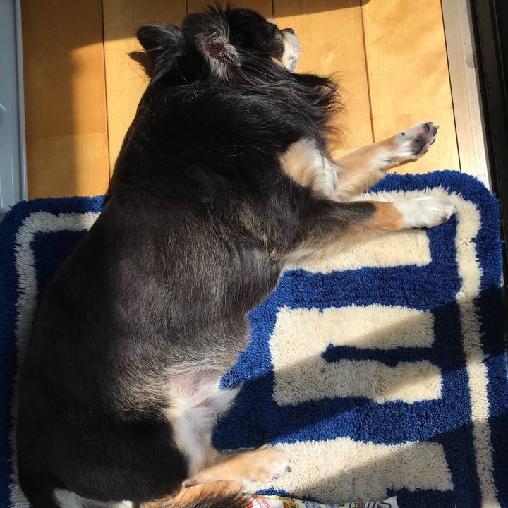 0cd73539 45ea 4857 a7ea bf10aa562dff