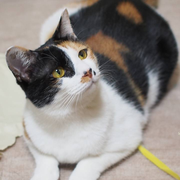 0cd7eda9 f2a5 4fb6 bf03 87b9245fa2fb