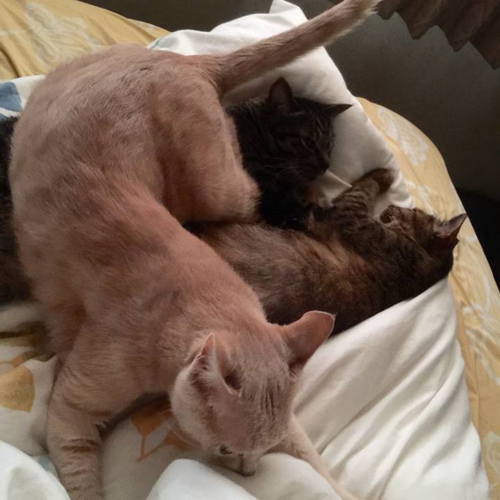 0cd8a05a 8caa 4585 8759 6a0a418177dd