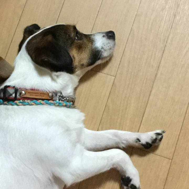 0cd99c56 7a8d 4a97 910e fbac82c829aa