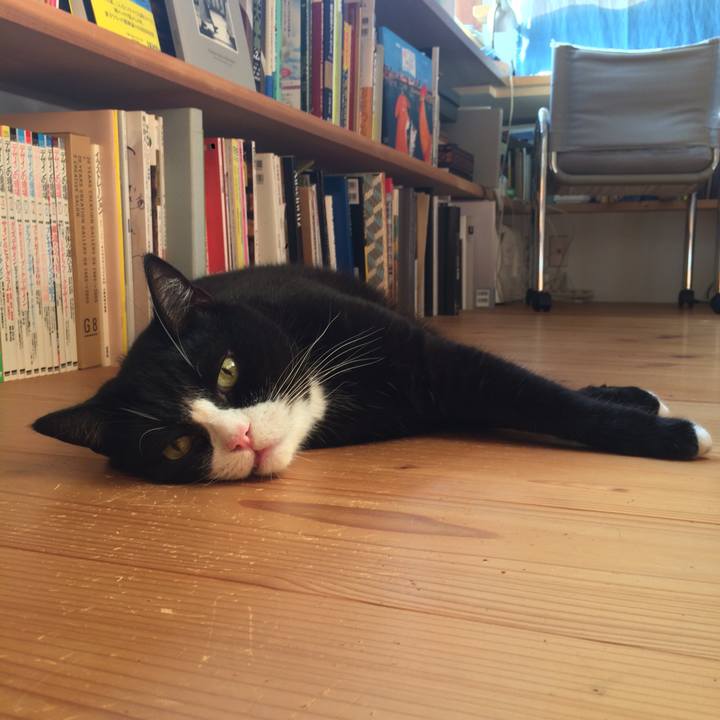 0cda067b c9ae 492f 9b6f a7093e60022e