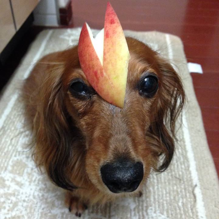 0cdb321e 12be 4c21 8669 979aa8ea77c1