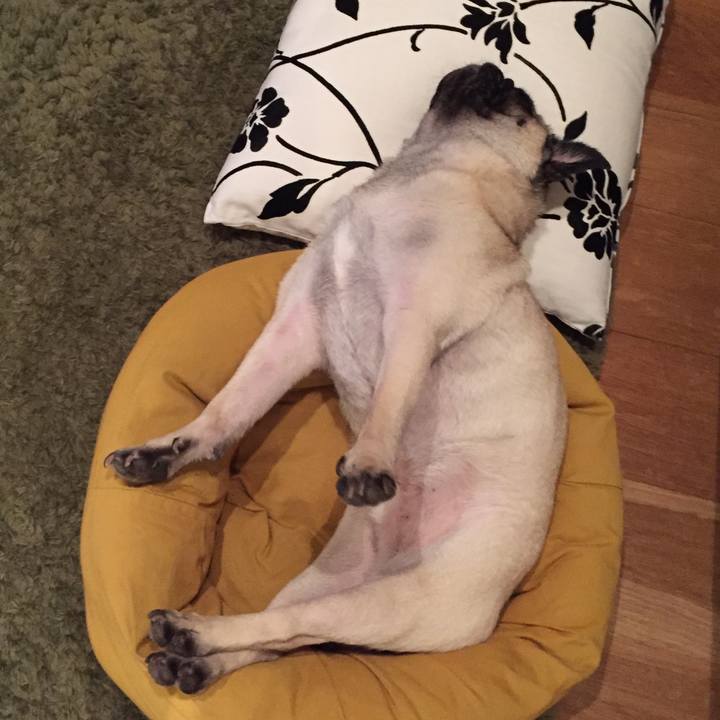 0cdbc28c 4912 4df2 acbb 359c4a843a45