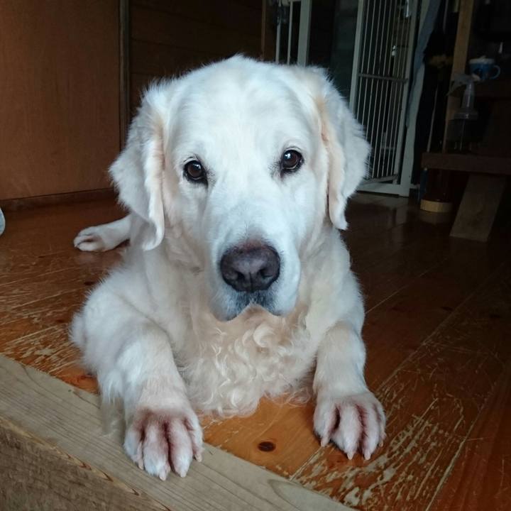 0cdbff51 405c 47a1 bbf6 b0e8eef2cb92