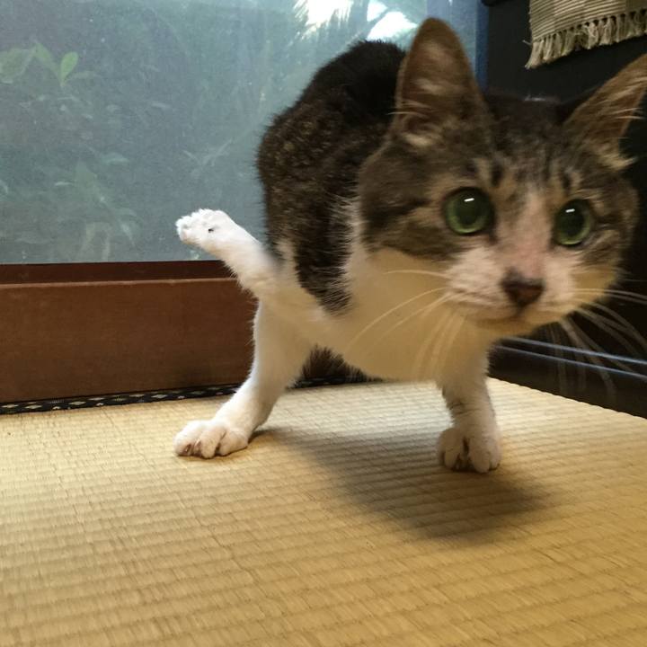 0cdc0ae7 1e16 480a af2b eff0ca003e3f