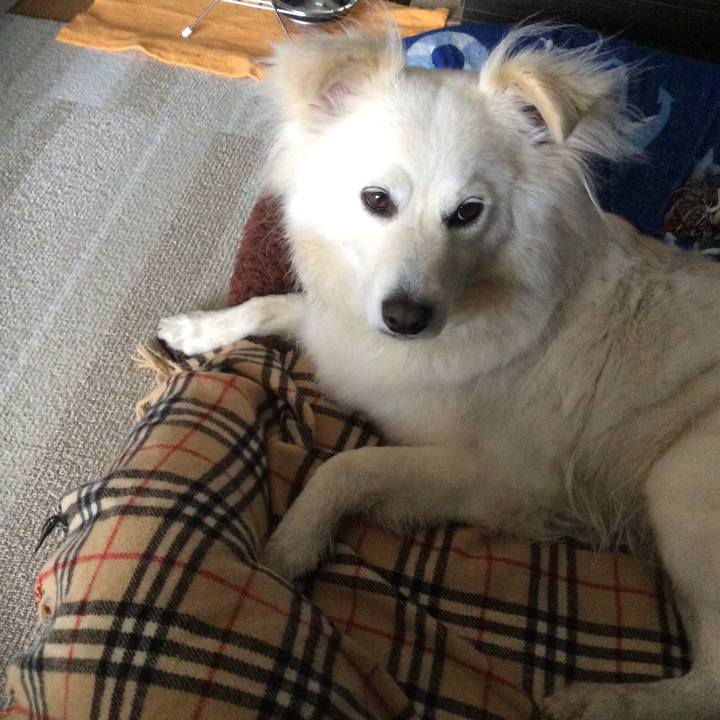 0cdc9ac8 a7e5 4860 bbbf 4c92f2f55880