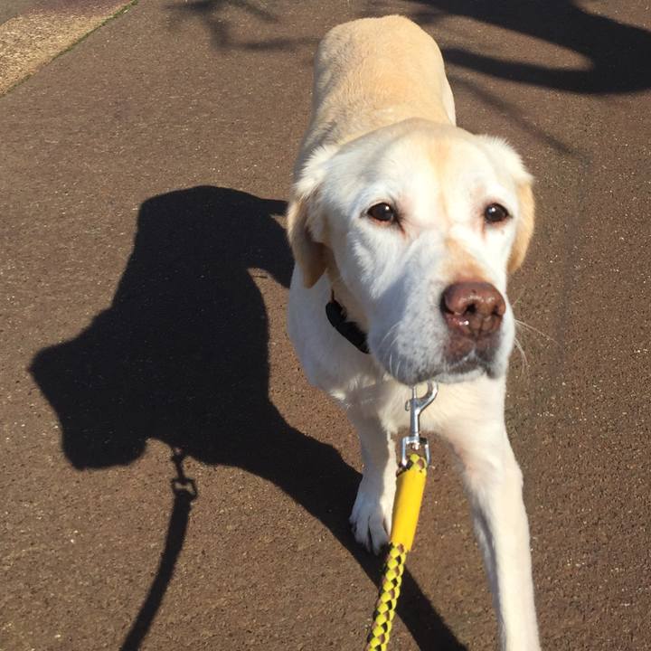 0cdcb512 e6ca 4af6 b231 776427d3764f