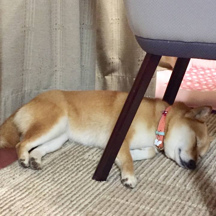 0cdcc40a 618b 4f21 bf2a 60e6d7c6844b