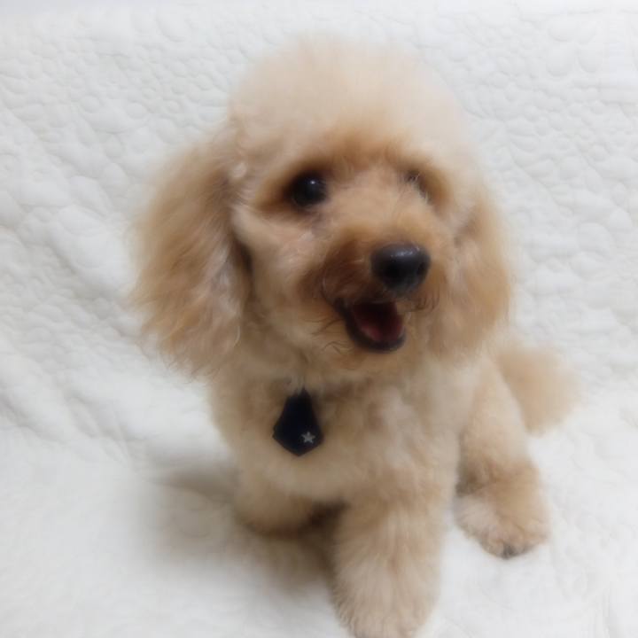 0cdcceab 7569 4b1f 93af e678d8674c62