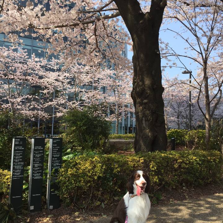 0cdd27c0 4455 4cd8 a45a 7be29fba2dba