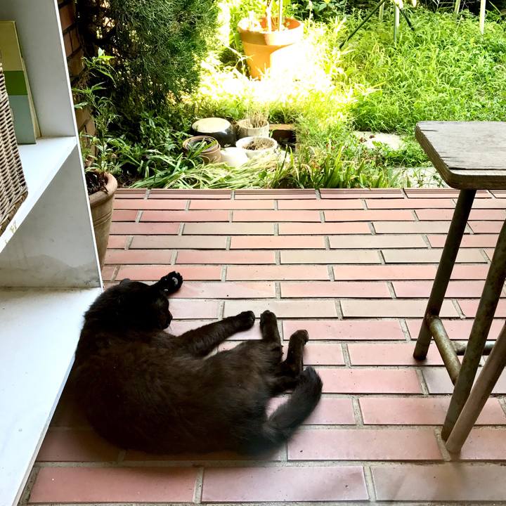 0cdd528f 95d9 49a1 ab9d 1a8bab5289f1