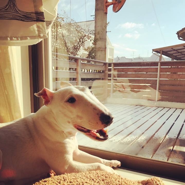 0cdd6e0b 0c93 4913 acad d285c27020ec