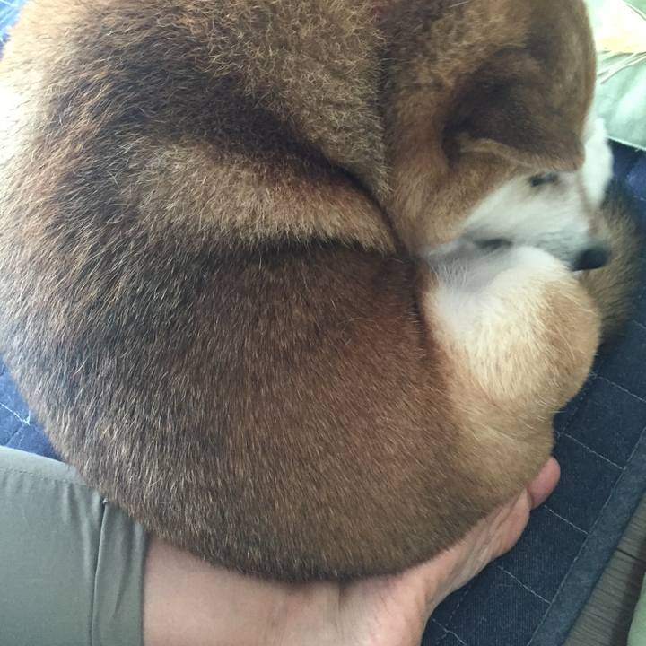 0cde21c5 8a47 491f 9326 a1fc08b3f603