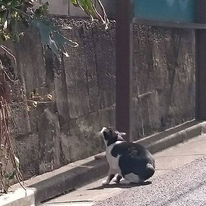 0cde6025 47be 45c3 a4a2 442371080908