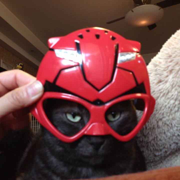 0cdf1ffb 8111 4e6d b8fb e2d825b16591