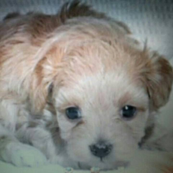 0cdf4e56 fe84 40c5 a3c8 4bed4678eea6