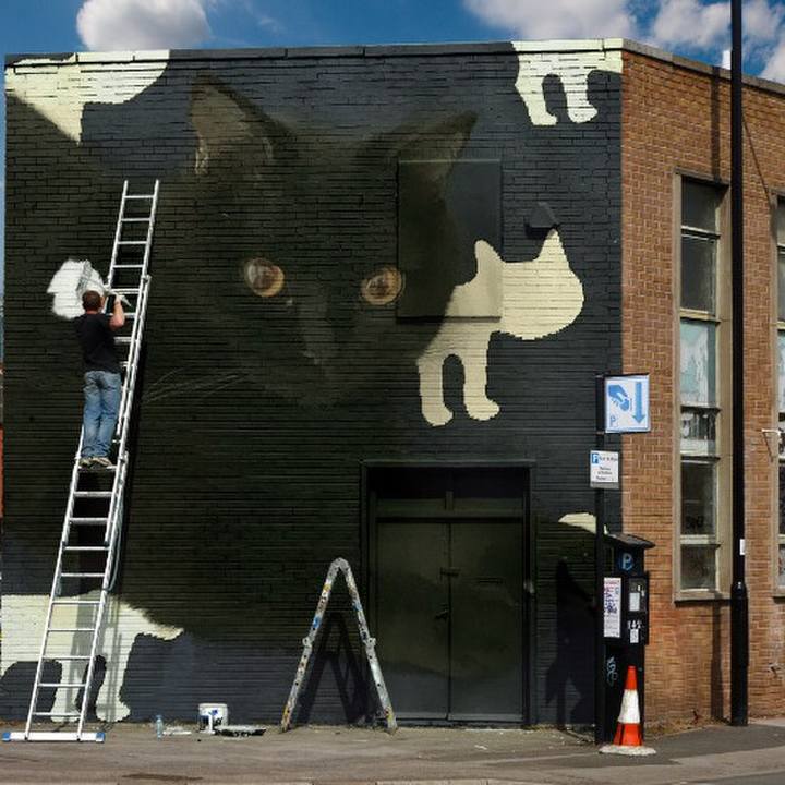 0cdf5572 4d05 4b84 aa35 9ba63c8ec179