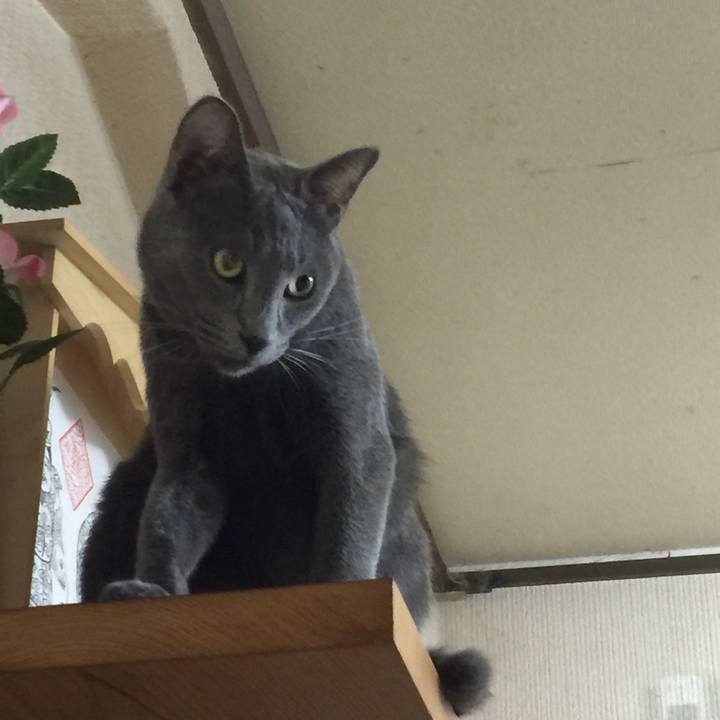 0cdf5c87 fcbe 4f19 92e2 1e46df129d94