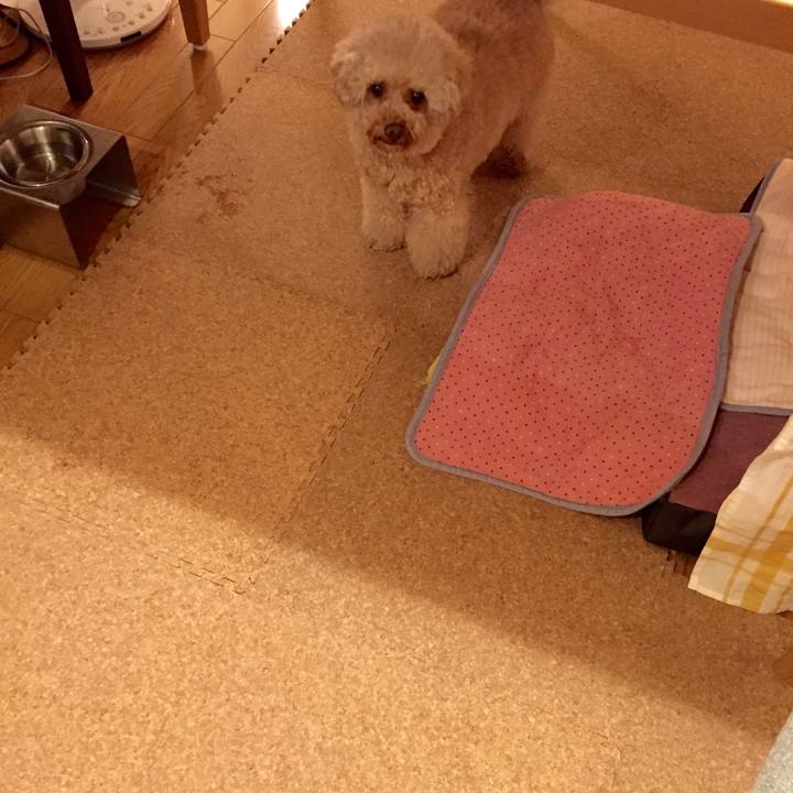 0cdf7620 0aa9 41e4 b4c7 3505ddaee0b8