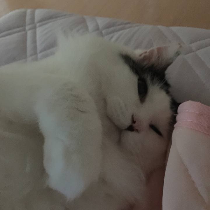 0cdf923f af2b 48aa 9339 860caba2cdbd