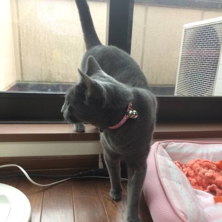 0cdfe0cc 7551 47e8 81bb c245291b0b70