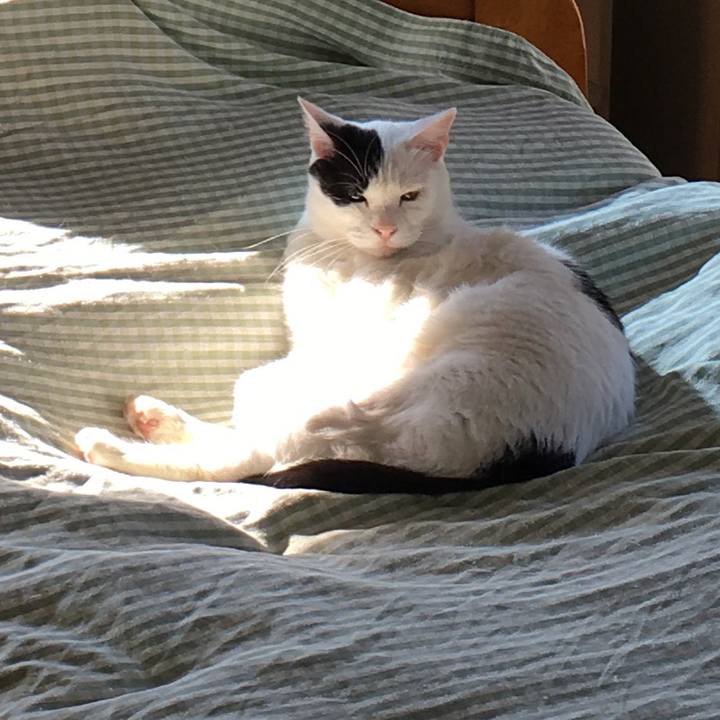 0ce00367 23c8 41fa 8607 0f737654df04