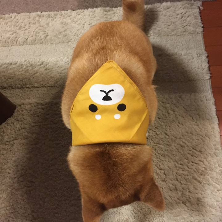 0ce0b825 9176 41df 9649 82a46bbffe40