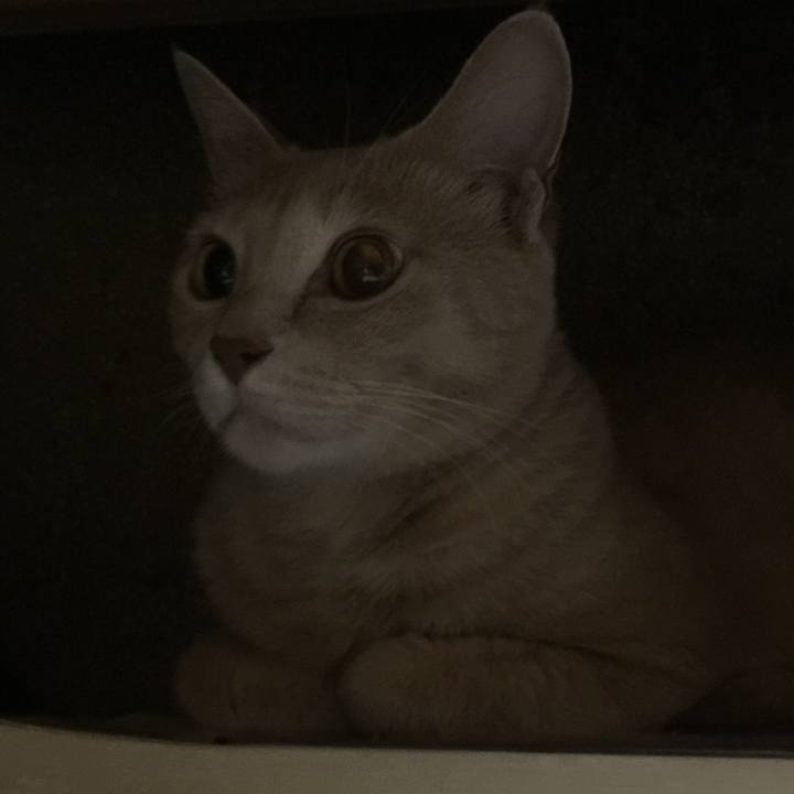 0ce1be63 989f 4cd7 8cc0 02649f8b4d82