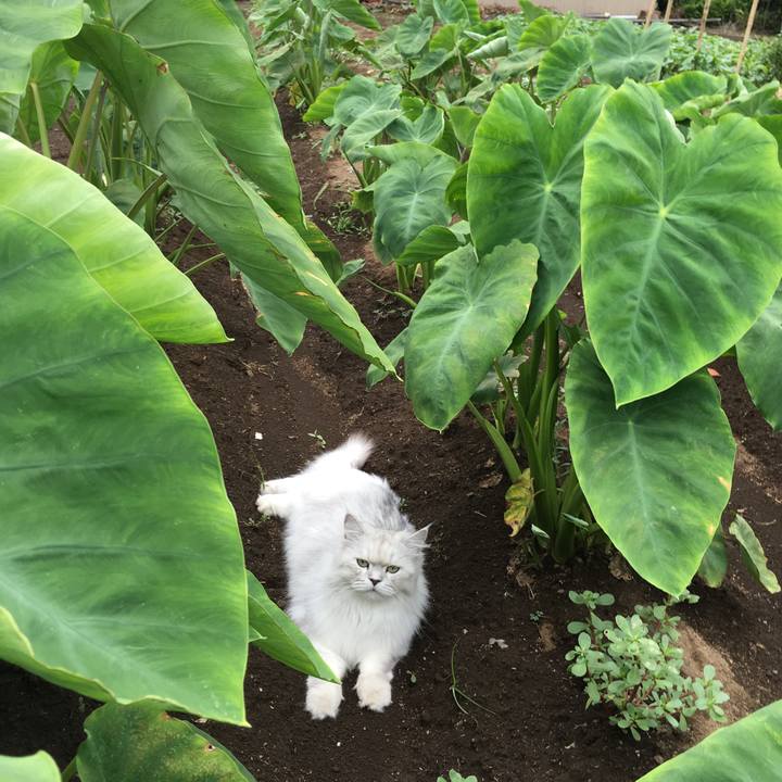 0ce1c93a c6c2 48f6 9fec fa8433d07f91