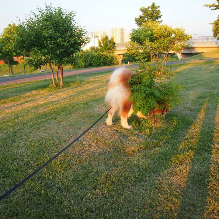 0ce1e86e 8c62 47c3 8f4b 324c5c6a7c2c