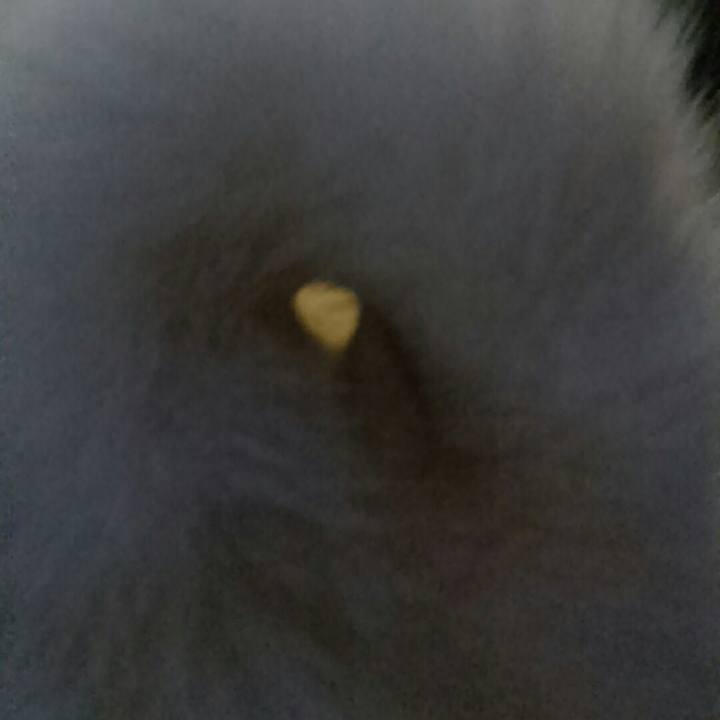 0ce29466 60d8 4dcf 9e1f ceda6786c59b