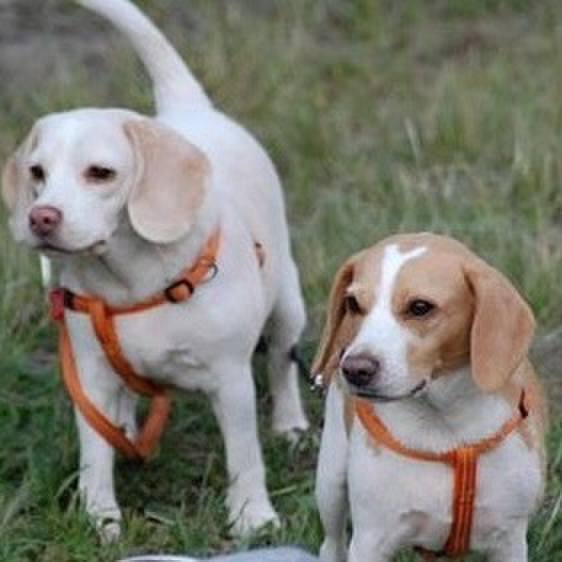 0ce2cdae 991f 4a46 9dd3 65b81bfe4152