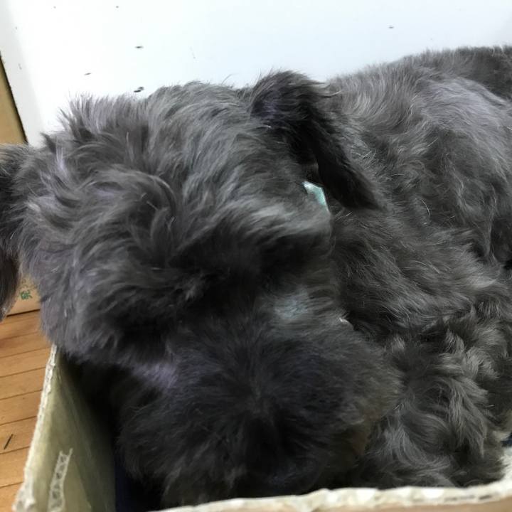 0ce2e2c6 b5e3 48f4 9f8b 843d4170fa27