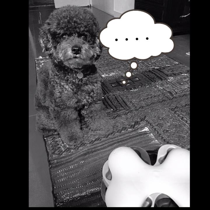 0ce2ff1f 362e 4d2a b9e7 67c6509b4aba