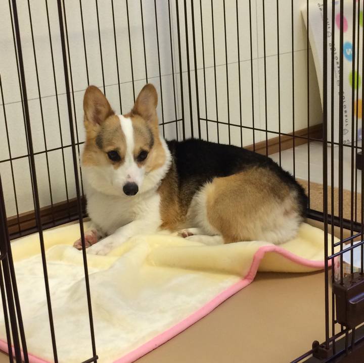 0ce449e9 c610 4ea8 b34b 3d4df33fb394