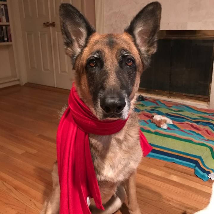 0ce46995 8076 40a7 8e1f cf7986e5223f