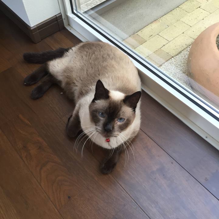 0ce47353 520b 4049 acc9 5ce489e829ac