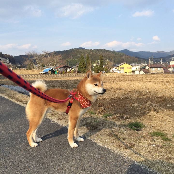 0ce47468 f06d 4f10 a785 27c0ae2f683c