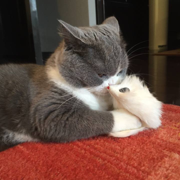 0ce488a3 a6cf 4834 90a8 12fa57d518f4