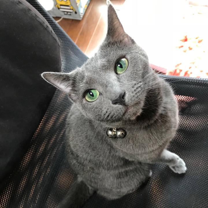 0ce4f15f 7c02 41ec 8c59 e745e435b5f5